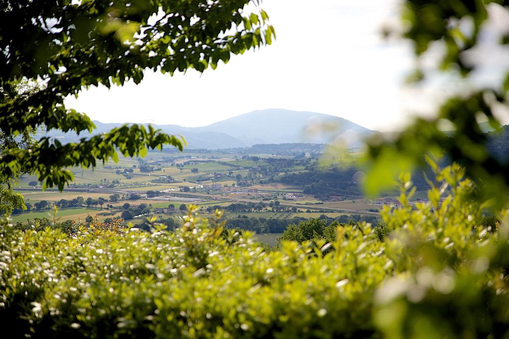 Agriturismo Le Colombe Assisi Buitenkant foto