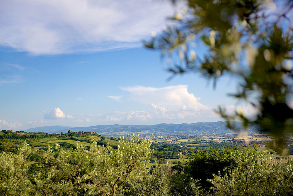Agriturismo Le Colombe Assisi Buitenkant foto
