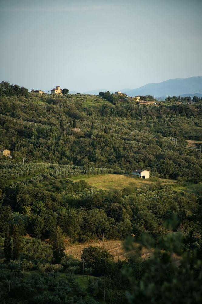 Agriturismo Le Colombe Assisi Buitenkant foto